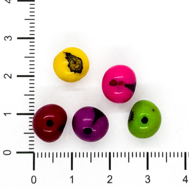 Semillas Azaíes multicolor x 35 un.