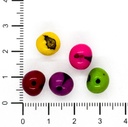 Semillas Azaíes multicolor x 35 un.