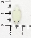 Gema engarzada navette natural opaco 7x15mm x 10un.