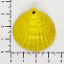 Ostra resina (mod 1) amarillo x 1un  