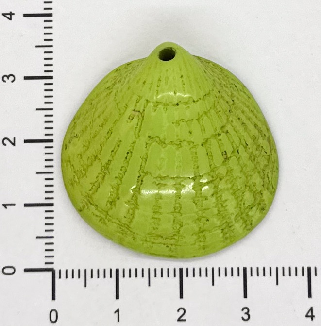 Ostra resina (mod 1) verde x 1un 