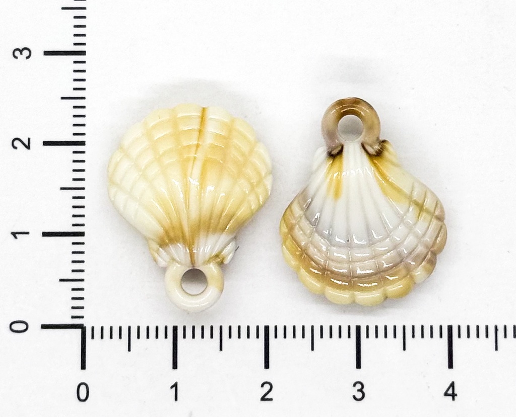 Dije plástico mar ostra #1 x 10gr