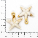 Dije plástico mar estrella #1 x 10gr 