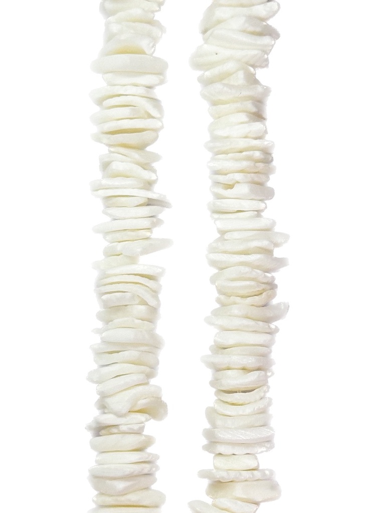 Caracoles naturales chicos pasantes x tira