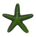 Estrella de Mar resina (mod 1) verde x 1un