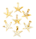 Dije plástico mar estrella #1 x 10gr 