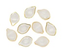 Caracoles ostras transparente beige x 10gr