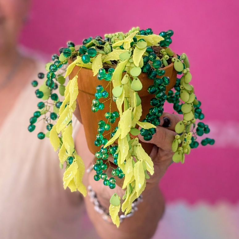 Seña- Workshop Macetita en tendencia 17/03/2026 