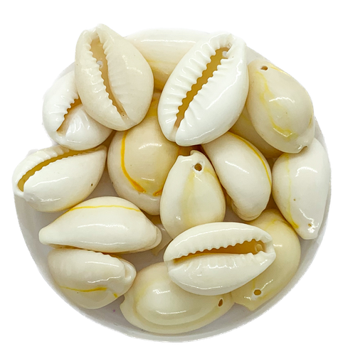 [10594] Caracoles buzios naturales p/colgar mediano x 100g 