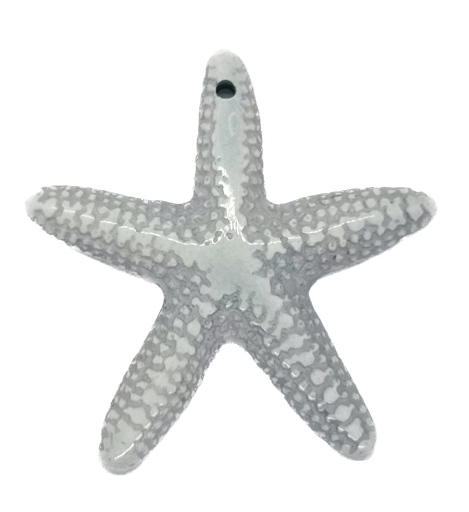 [10228] Estrella de Mar resina (mod 1) celeste x 1un   
