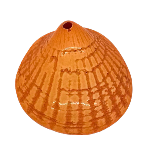 [10228] Ostra resina (mod 1) naranja x 1un 