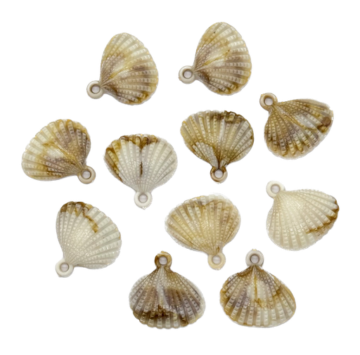 [10266] Dije plástico mar ostra #3 x 10gr  