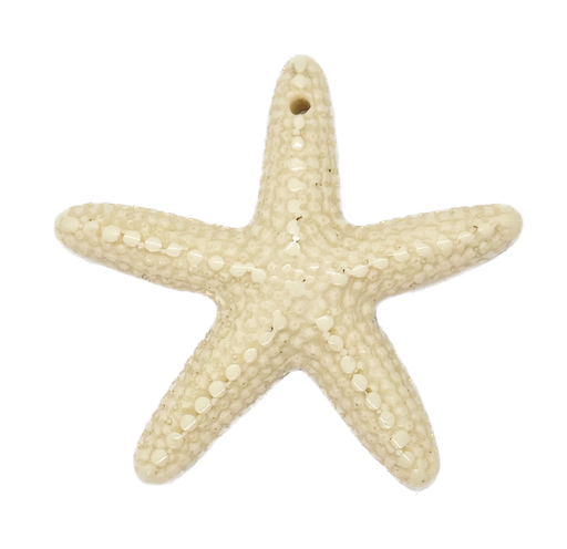 [10228] Estrella de Mar resina (mod 1) natural x 1un 