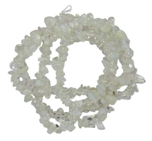 [10759] Escallas opalina x tira  