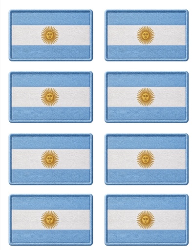 [10456] Transfer DTF símil bordado 01 mundial 01 x 1 hoja 