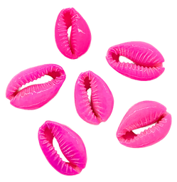 [10214] Caracoles buzios naturales pintados fucsia x 10un.