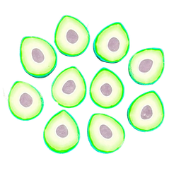 [10215] Fimo Palta x 5 un.