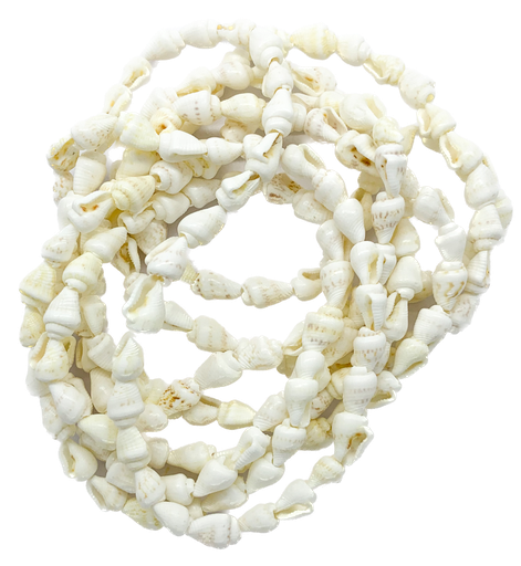 [11527] Caracoles naturales pasantes x tira 1.5mt