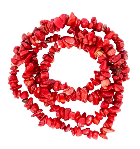 [10759] Escallas coral x tira