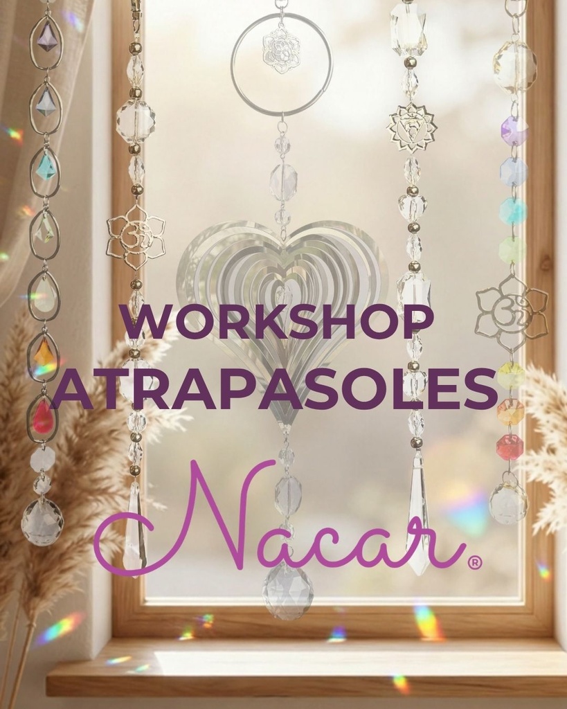 Workshop Atrapasoles